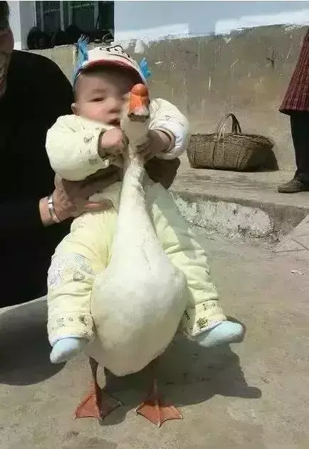 羡煞旁人出处_羡煞旁人意思_羡煞旁人