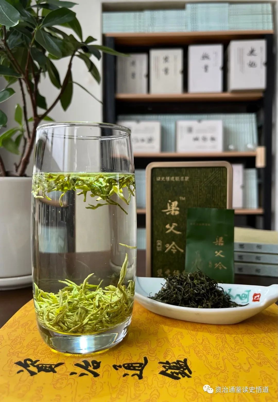 任性妄为_任性妄为近义词_任性妄为是贬义词吗