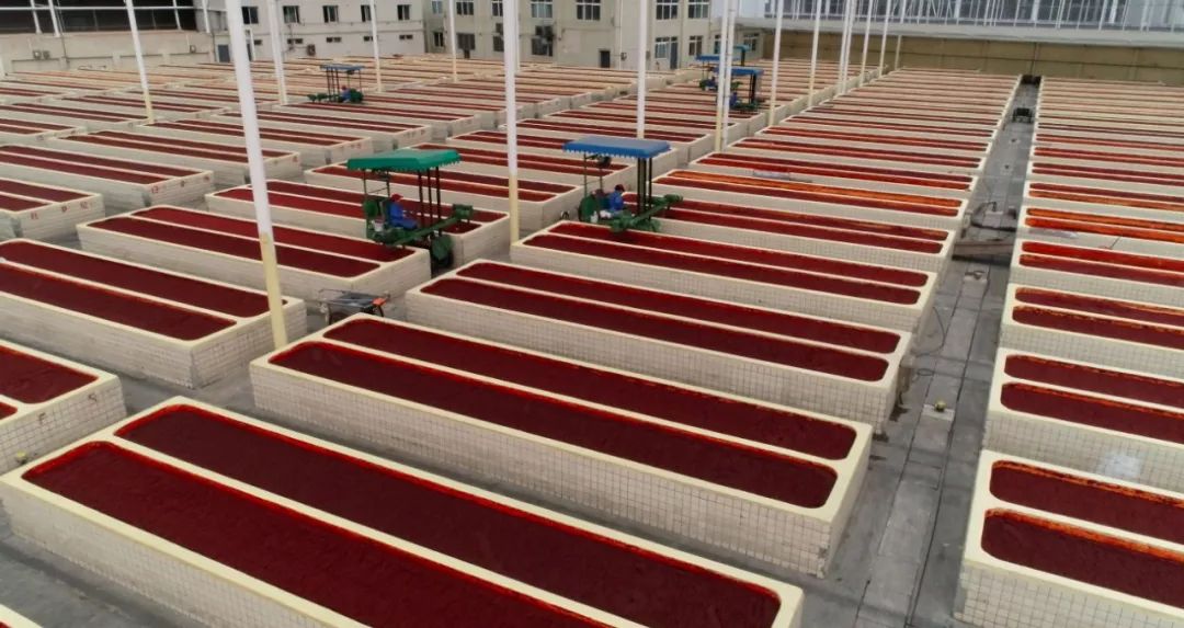aerated翻译_aeratedlung_aerated