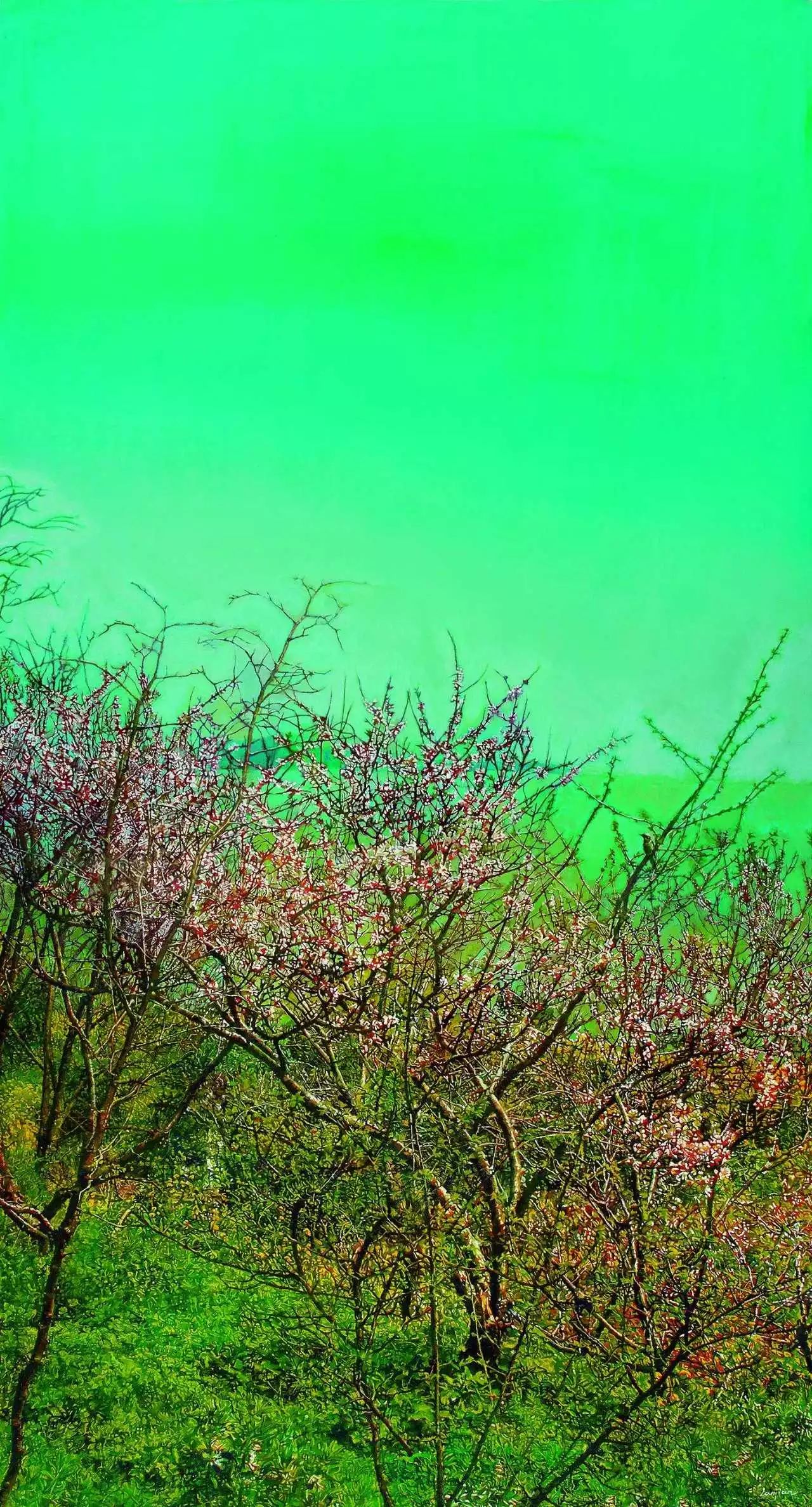 landscapes_landscape是什么牌子_Landscape是什么意思