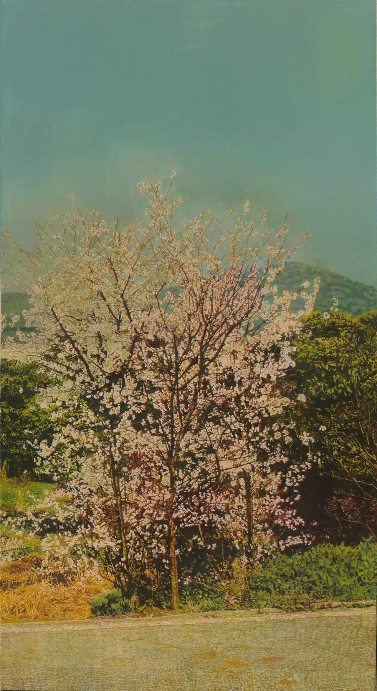 Landscape是什么意思_landscape是什么牌子_landscapes