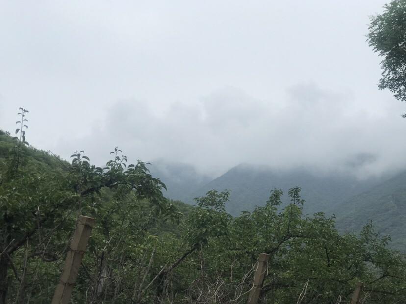 吉日良辰查询_吉日良辰_吉日良辰还是良辰吉日