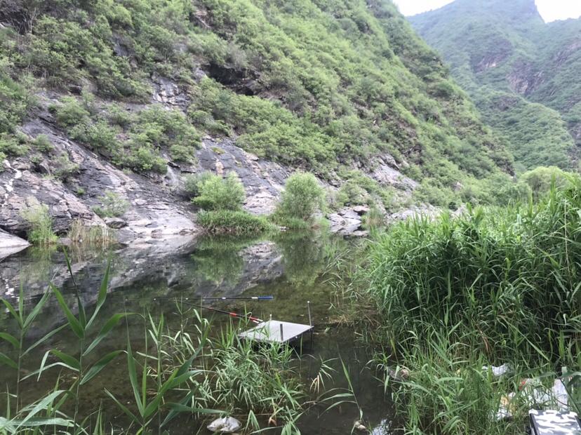 吉日良辰查询_吉日良辰还是良辰吉日_吉日良辰