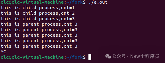 编程系统找不到指定的文件_编程系统有哪些_linux系统编程