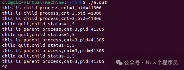 编程系统有哪些_编程系统找不到指定的文件_linux系统编程