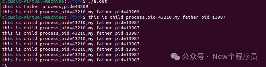 编程系统有哪些_linux系统编程_编程系统找不到指定的文件