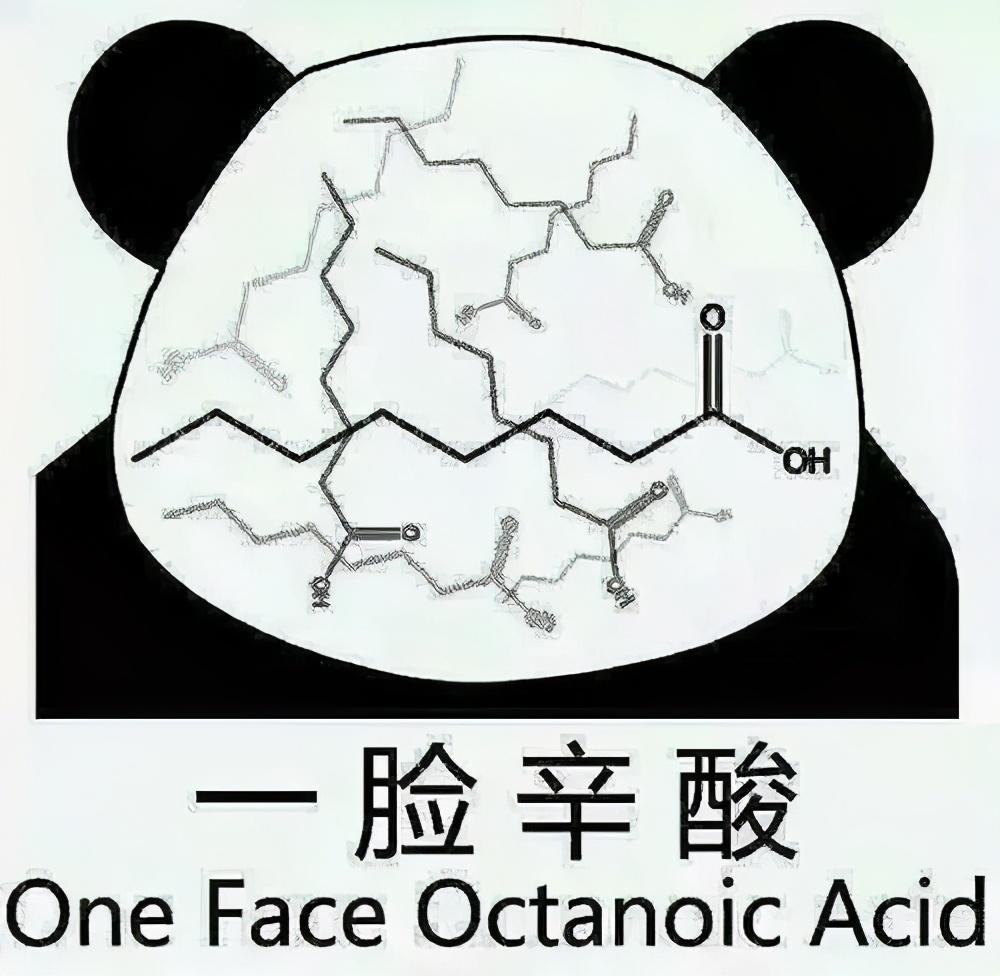 政地技可以选什么专业_地政_政地生组合好吗