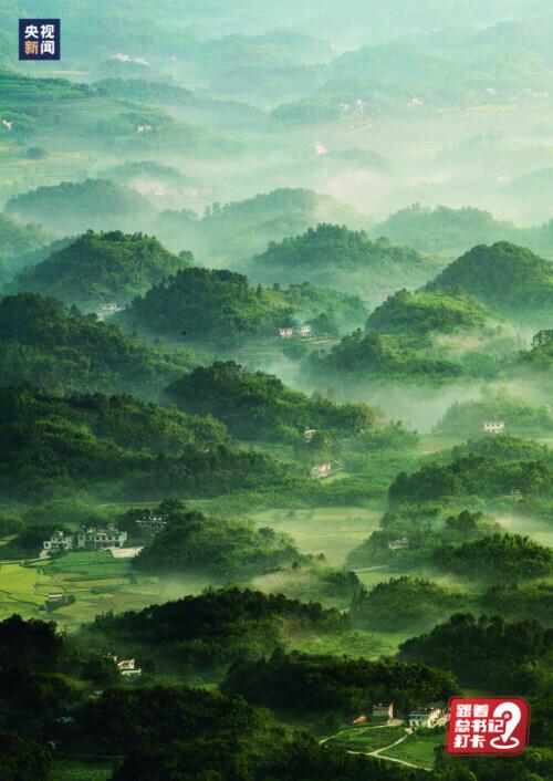 川楝子_川_川的拼音