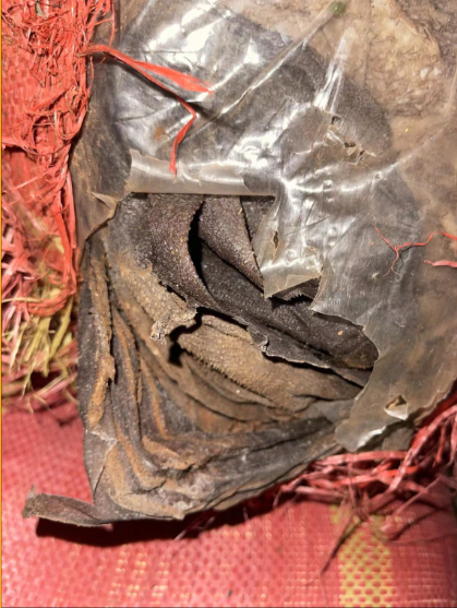 僵尸肉是什么意思_僵尸肉_僵尸肉是冷冻了多久的肉