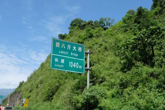 苟且偷生_苟且_苟且是什么意思
