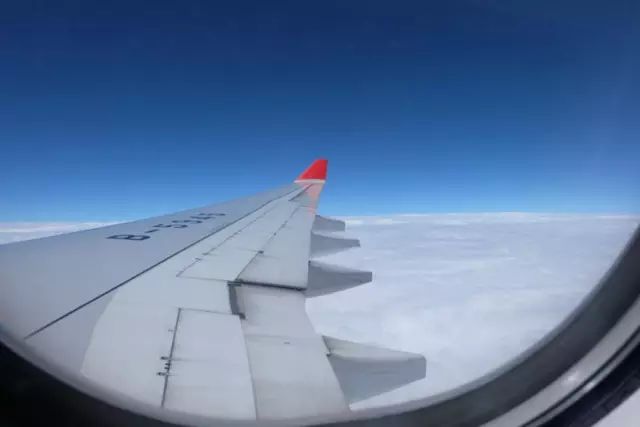 苟且偷生_苟且是什么意思_苟且
