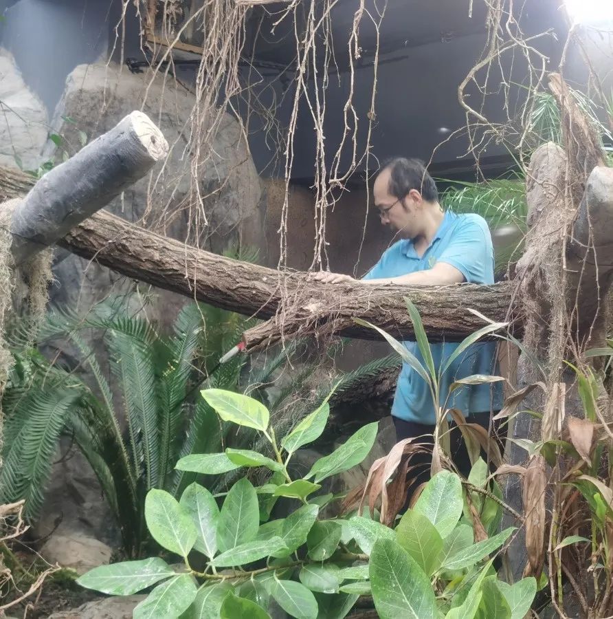 万物更新是什么意思_万物更新旧疾当愈是什么意思_万物更新