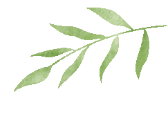 万物更新_万物更新是什么意思_万物更新旧疾当愈是什么意思