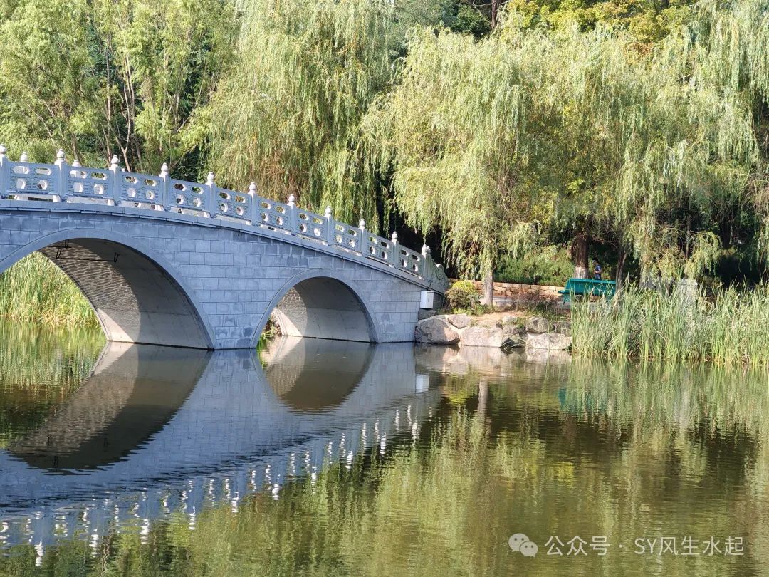 大连植物园旅游攻略_大连植物园_大连植物园附近二手房