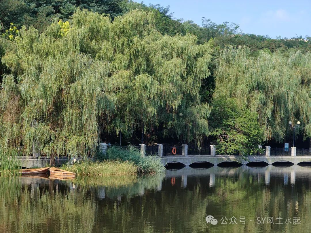 大连植物园_大连植物园附近二手房_大连植物园旅游攻略