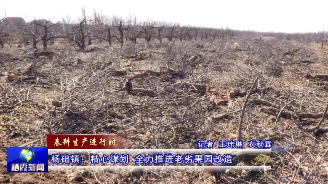 什么叫长痛不如短痛_长痛不如短痛_俗话说长痛不如短痛