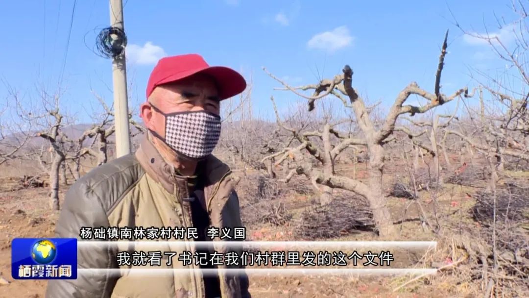 什么叫长痛不如短痛_俗话说长痛不如短痛_长痛不如短痛