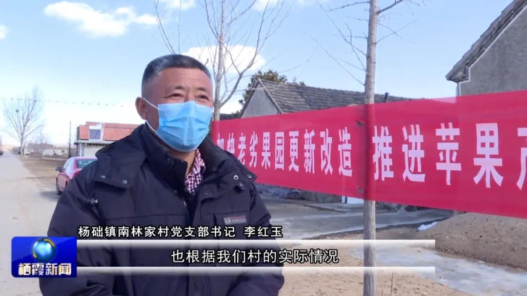 长痛不如短痛_什么叫长痛不如短痛_俗话说长痛不如短痛