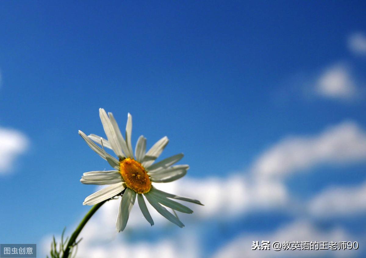faculties_faculties英语怎么读_faculties的含义