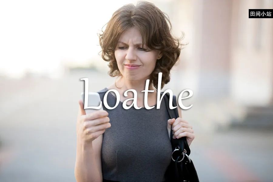 loathe_loathe和hate的区别_loathe名词