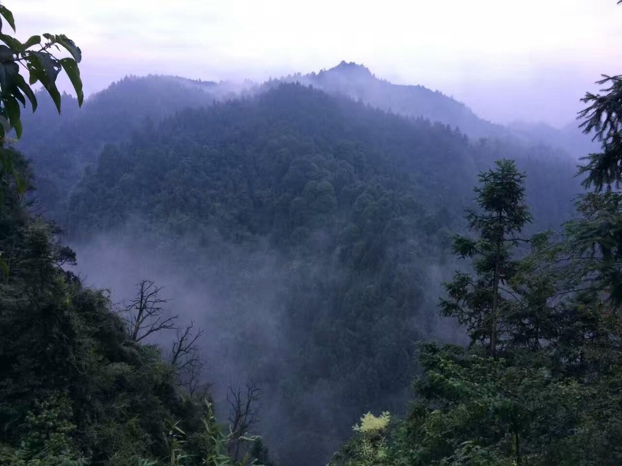 伸手不见五指_伸手见五指是什么意思_伸五指打一数字