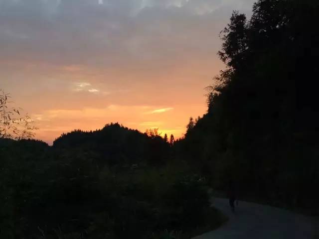 伸手见五指是什么意思_伸五指打一数字_伸手不见五指