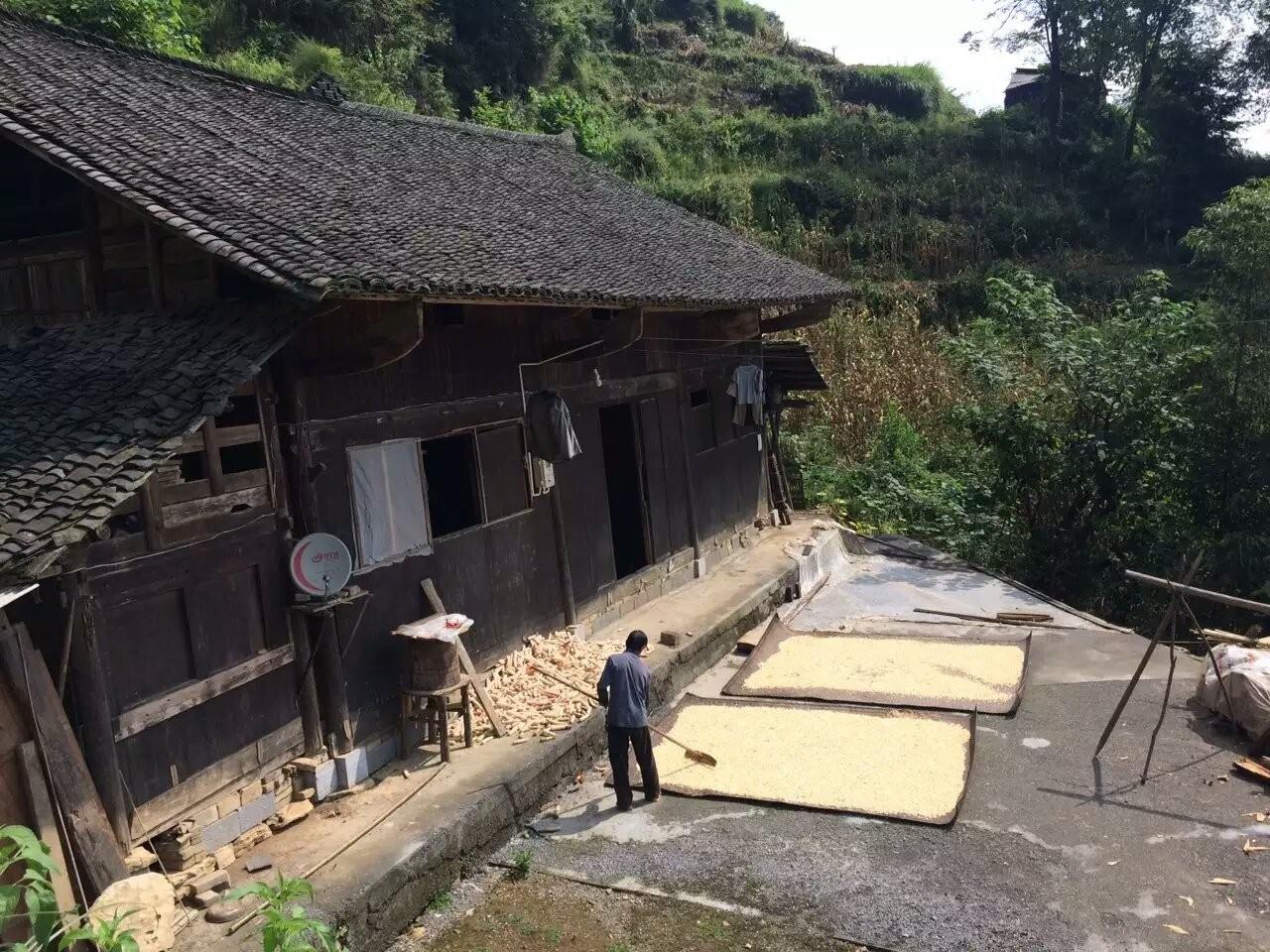 伸五指打一数字_伸手见五指是什么意思_伸手不见五指