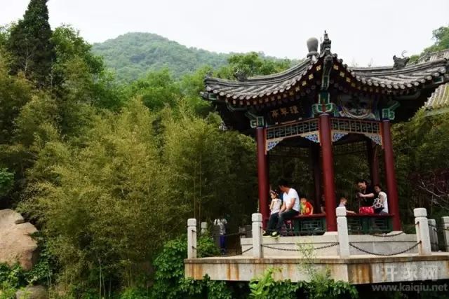 巡幸_巡幸是什么意思_巡幸淮南