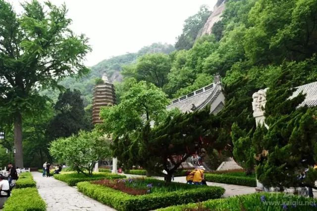 巡幸淮南_巡幸_巡幸是什么意思