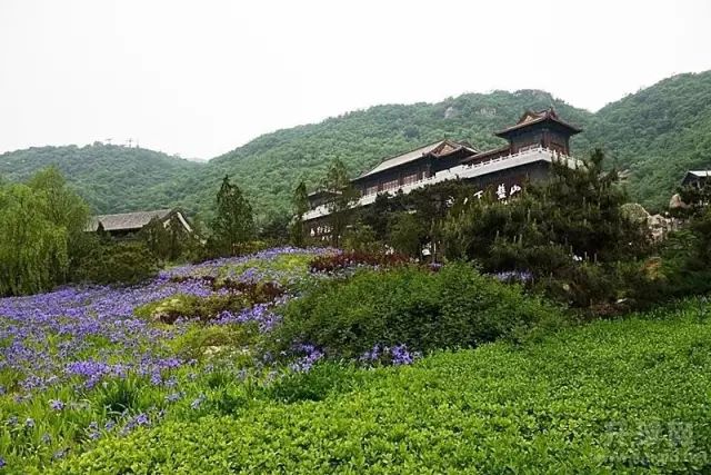 巡幸是什么意思_巡幸_巡幸淮南