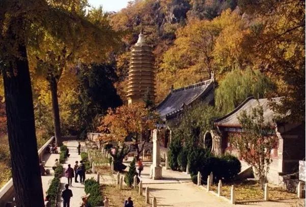 巡幸是什么意思_巡幸_巡幸淮南