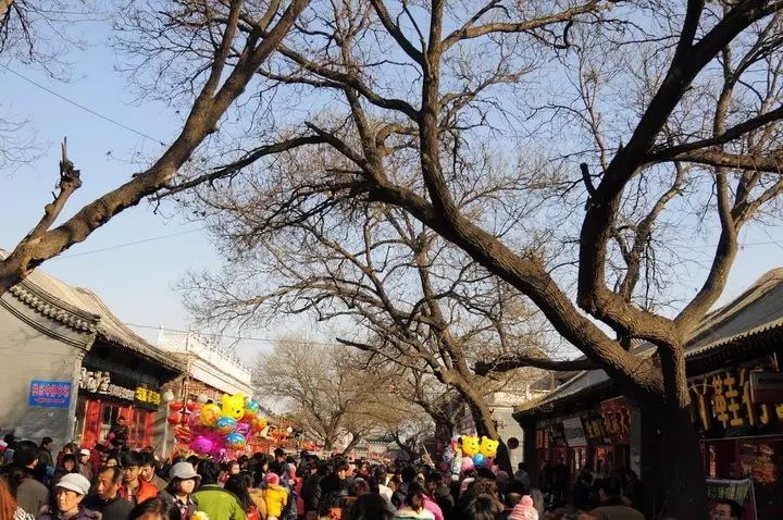 巡幸_巡幸是什么意思_巡幸淮南