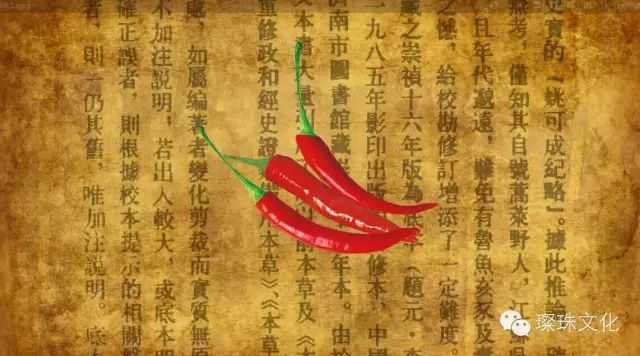 金色农家演员表_金色农家电视剧_金色农家