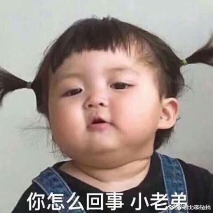 Codecademy下载_Codecademy官网_codecademy