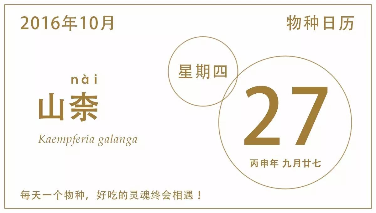 photobucket_photobucket官网_photobucket有水印
