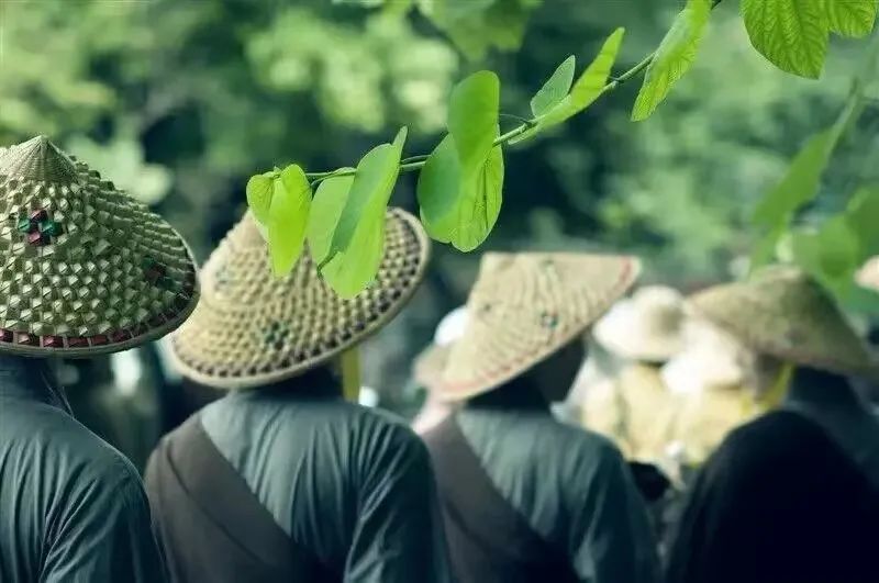 素位而行_素位而行_素位而行
