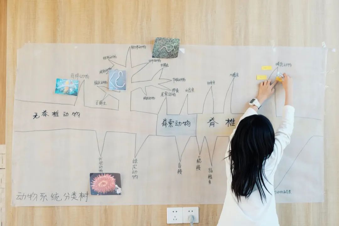 Biomeso肌活糙米水_biomes_biome是什么牌子