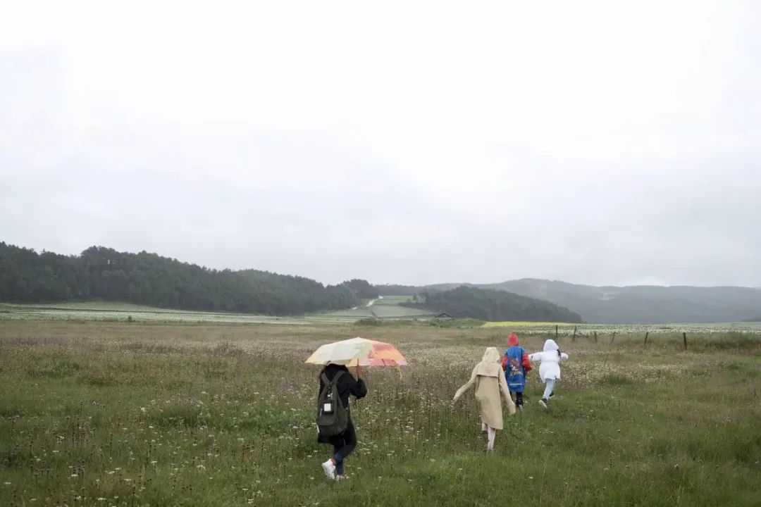 Biomeso肌活糙米水_biome是什么牌子_biomes