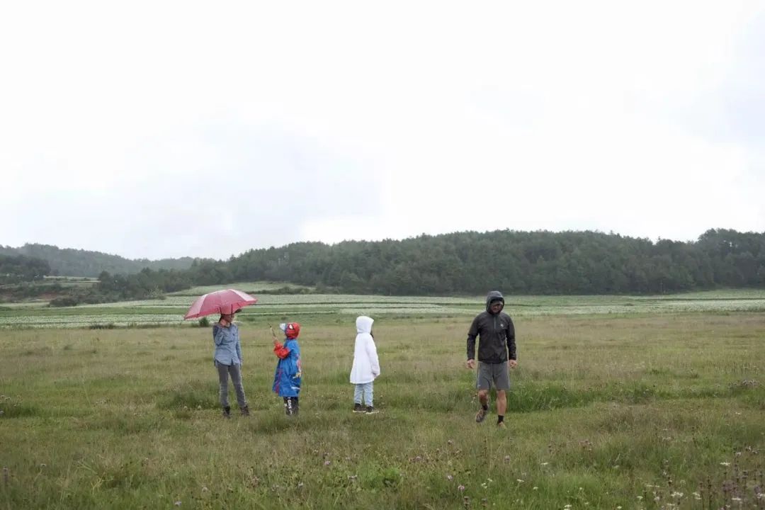 Biomeso肌活糙米水_biome是什么牌子_biomes