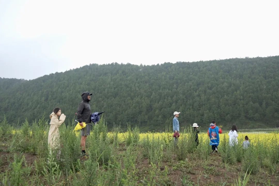 Biomeso肌活糙米水_biomes_biome是什么牌子