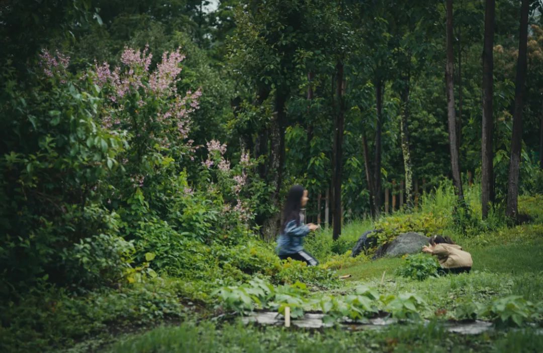 Biomeso肌活糙米水_biomes_biome是什么牌子