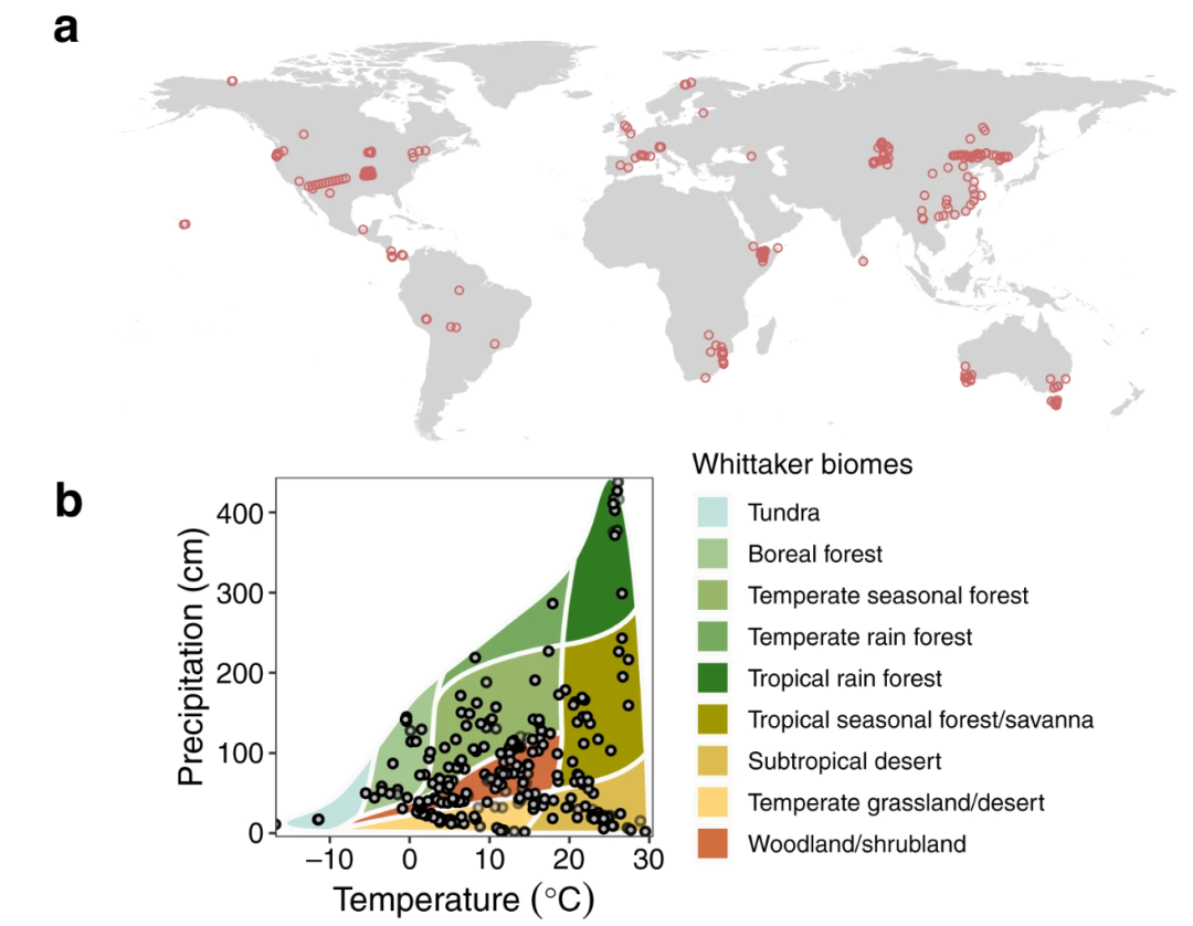 BiomeSize_Biomeso肌活糙米水_biomes