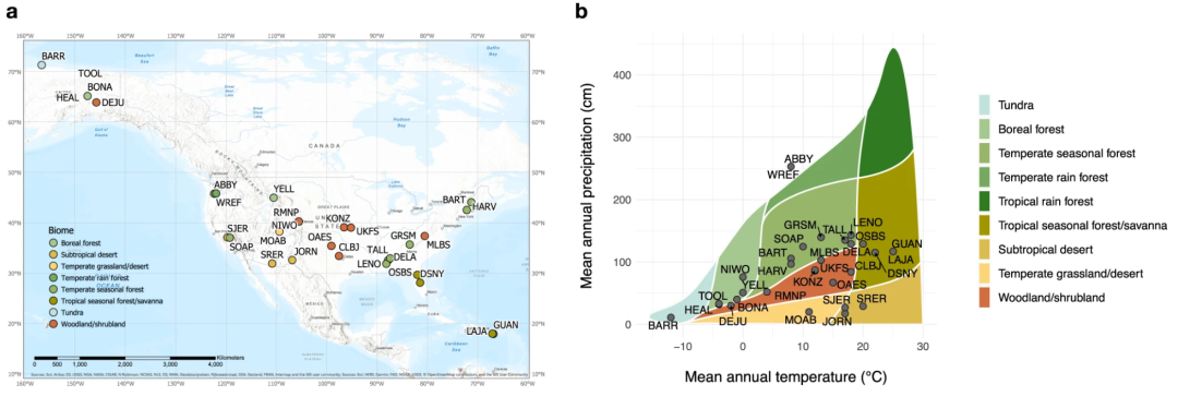 BiomeSize_Biomeso肌活糙米水_biomes