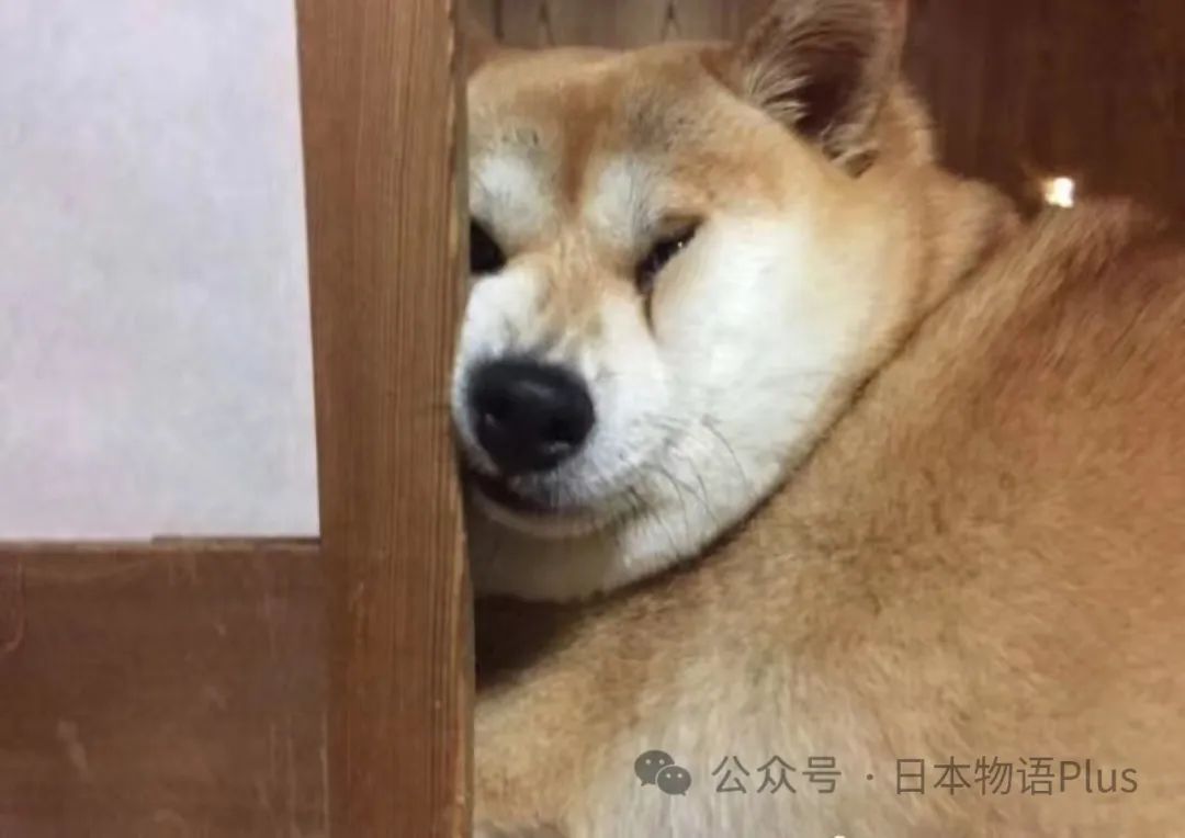 日本劳动日_日本厚生劳动省_日本的厚生劳动省