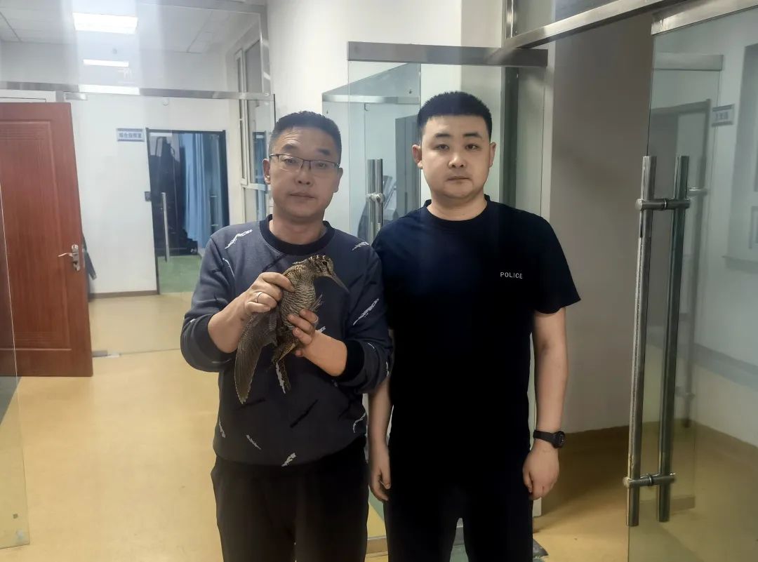 六禽是指哪六禽_禽_禽怎么读音