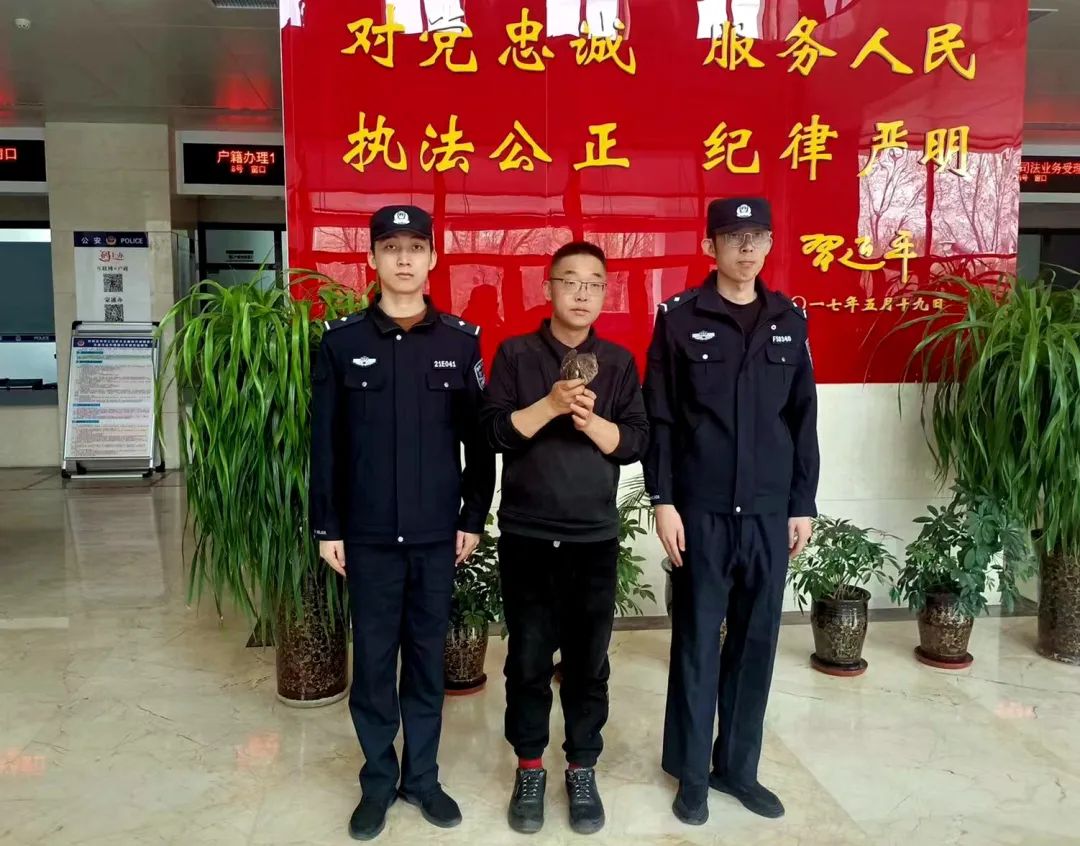 禽怎么读音_禽_六禽是指哪六禽