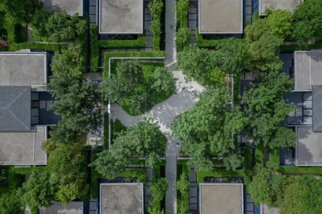 mesmerizing_mesmerizing翻译_mesmerizing怎么读
