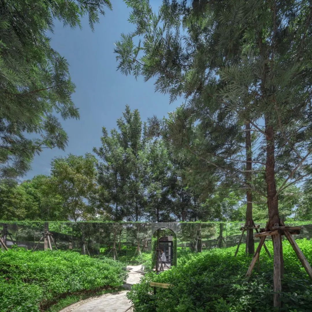 mesmerizing怎么读_mesmerizing翻译_mesmerizing