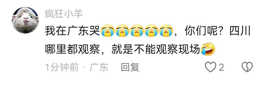梨花雨带手铐脚链_梨花雨带什么意思_梨花带雨