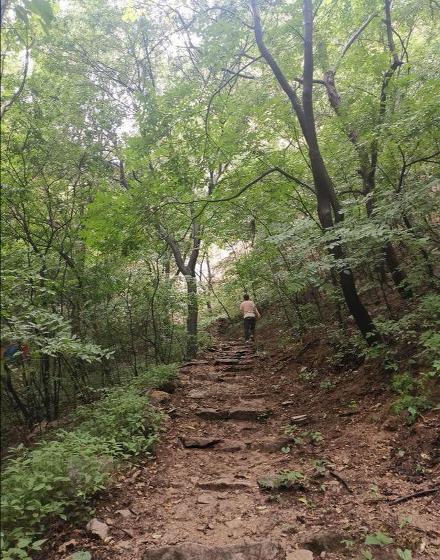 娲皇宫_娲皇宫_娲皇宫